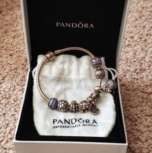 🎉NEW🎉 The Pandora Collection